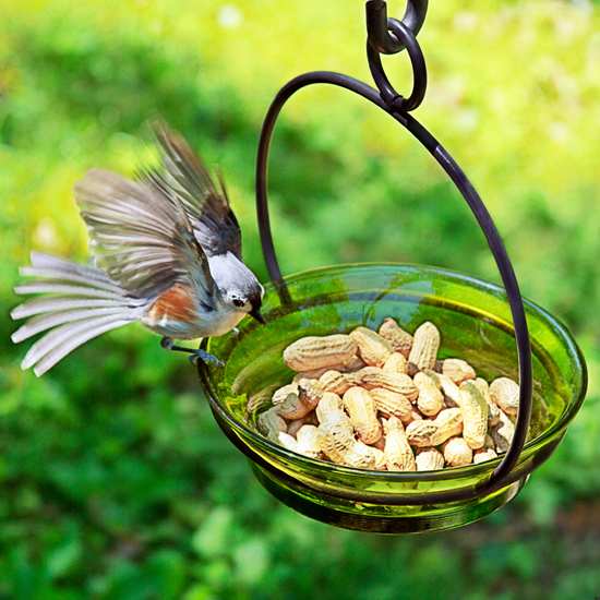 Hanging Cuban Bird Bath/Bird Feeder 8